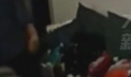 西安媳妇爆料事件视频曝光,事件真相揭秘